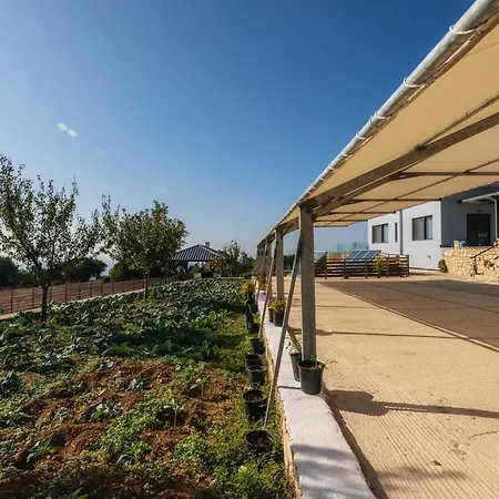 Apartment Alonaki Agios Leon